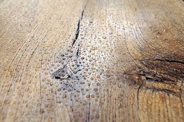 kapky na dřevě